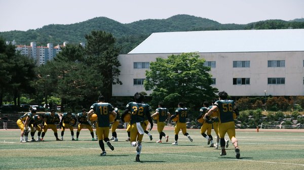 Wie kà¶nnen lokale Nachrichten ihre Relevanz in der digitalen à„ra bewahren?